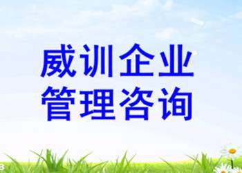 威訓企業(yè)管理咨詢 專業(yè)企業(yè)形象策劃的卓越選擇